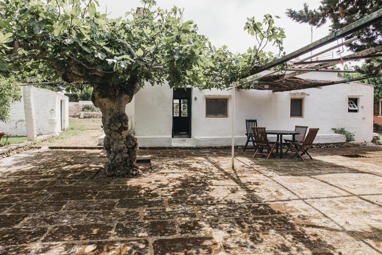 Agroturismo Son Triay 페레리아스 외부 사진
